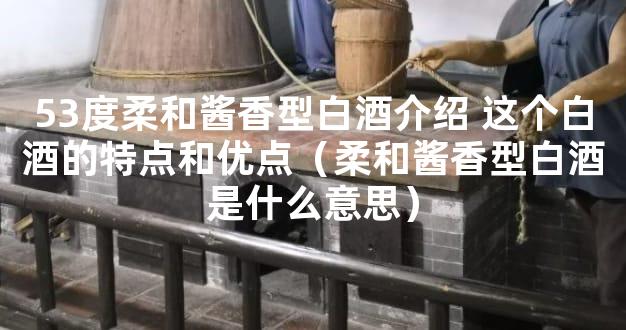 53度柔和酱香型白酒介绍 这个白酒的特点和优点（柔和酱香型白酒是什么意思）